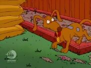 Rugrats - A Dog's Life 205