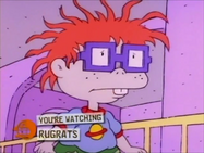 Rugrats - Chuckie's Wonderful Life 46