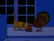 Spike and The Turkey eat from Spike's food bowl together
