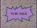 The Big Sneeze