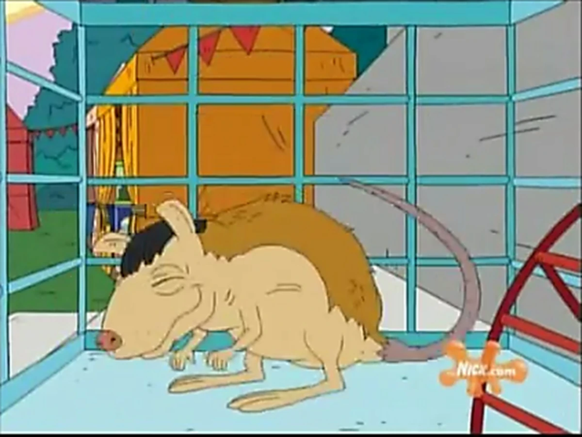 Chowder/Gallery Rugrats Wiki Fandom