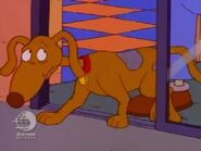 Rugrats - A Dog's Life 150