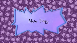 New Puppy title card