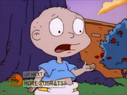 Rugrats - The Family Tree 421