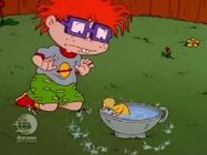 Rugrats - Chuckie's Duckling 127