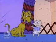 "No wonder you're so happy all the time!"