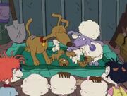 Rugrats - Bow Wow Wedding Vows 513