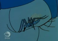 That night, a mosquito bites Angelica's nose...