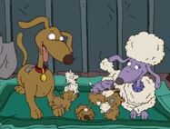 Rugrats - Bow Wow Wedding Vows 512