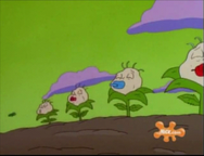 Rugrats - Planting Dil 77