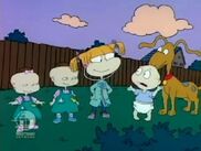 Rugrats - Rhinoceritis! 182