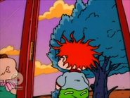 Rugrats - The Family Tree 342