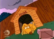 Unfortunately for Spike, his box of dog biscuits is empty