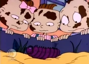 Tommy, Phil, and Lil find out Melville's dead