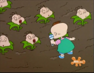 Rugrats - Planting Dil 76