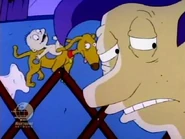 "Oh, nothing. Tommy just took off his diaper."