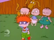 "All right, I'll go on the tree!"