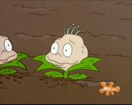 Rugrats - Planting Dil 67