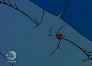 ...causing a red bump to form on it