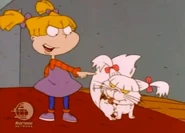 "It wasn't me! It was, it was, uh... Fluffy!"