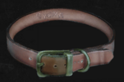 DogCollar