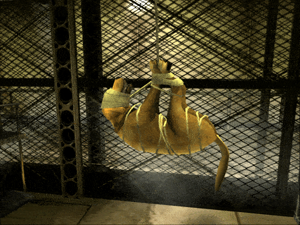 rule of rose персонажи. BrownStruggling. rule of rose персонажи фото. rule of rose персонажи-BrownStruggling. картинка rule of rose персонажи. картинка BrownStruggling. The encyclopedia about Rule of Rose that any wretched peon can edit. "A story too cruel — too beautiful — to go untold. " rule of rose персонажи. BrownStruggling. rule of rose персонажи фото. rule of rose персонажи-BrownStruggling. картинка rule of rose персонажи. картинка BrownStruggling. The encyclopedia about Rule of Rose that any wretched peon can edit. "A story too cruel — too beautiful — to go untold. "