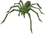 Jungle Spider