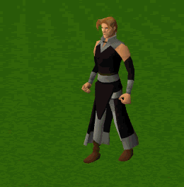 Sap Warrior