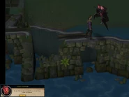 Vanescula meets Safalaan