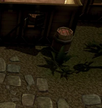 Hidey-hole Canifis pub