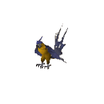 Macaw kb