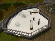 Pengiuns in Ardougne Zoo