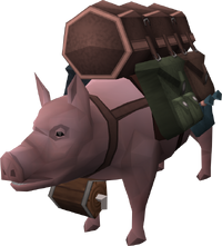 Spirit pack pig