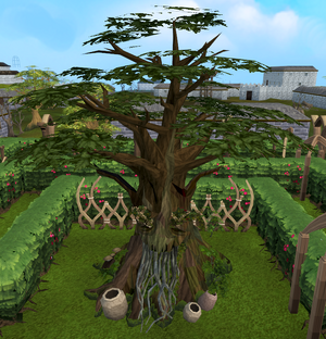 Village spirit tree