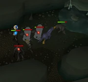 Een speler die  gebruikt om de Dagannoths van  af te leiden.