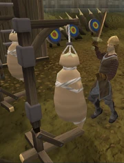 Isold hitting a dummy