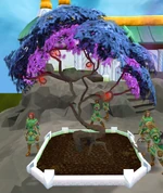 Click for a larger image