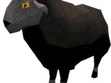 Sheep (black)