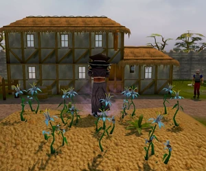 Sliske's Christmas Adventure Day 14 puzzle