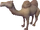 Alice the camel.png