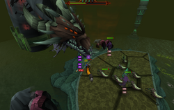 QBD Healing