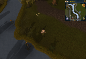 treasure trails guide compass