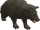 Black bear