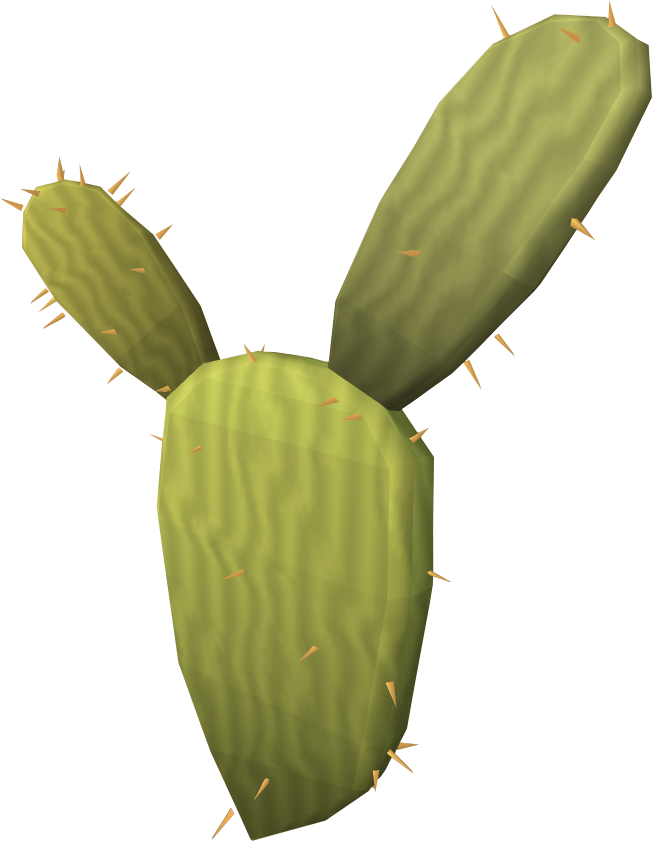 Kharidian Cactus Runescape Wiki Fandom