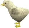 Saradomin chick pet.png