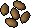 Calquat tree seed 5.png