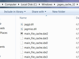 Jagex cache