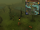 Scan clue Haunted Woods south of Alice's Farming Shop.png