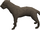 Labrador (grey) pet.png