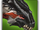 Dragon Wolf adolescent Solomon icon.png